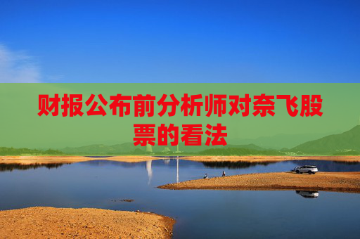 财报公布前分析师对奈飞股票的看法