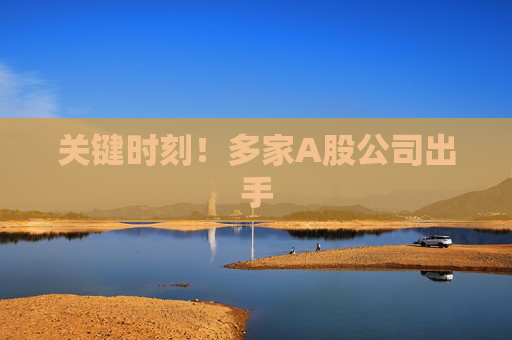关键时刻！多家A股公司出手