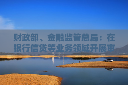 财政部、金融监管总局：在银行信贷等业务领域开展审计报告批量查验试点
