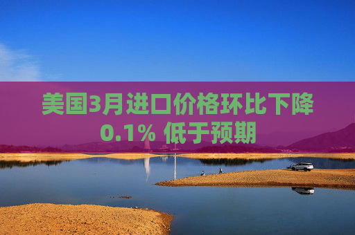 美国3月进口价格环比下降0.1% 低于预期