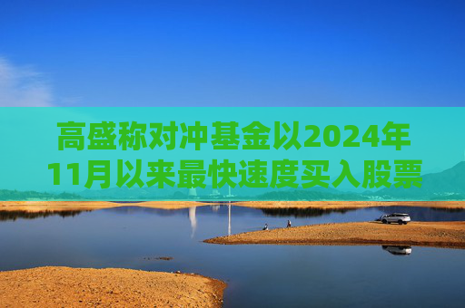高盛称对冲基金以2024年11月以来最快速度买入股票