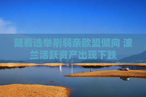 随着选举削弱亲欧盟倾向 波兰活跃资产出现下跌