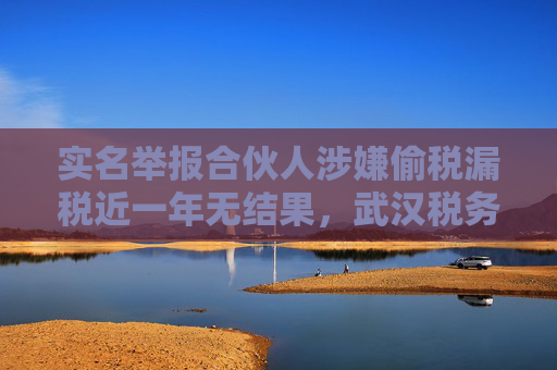 实名举报合伙人涉嫌偷税漏税近一年无结果，武汉税务部门：特殊情况检查可延期