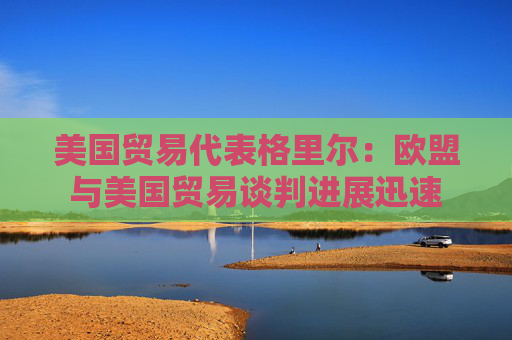 美国贸易代表格里尔：欧盟与美国贸易谈判进展迅速