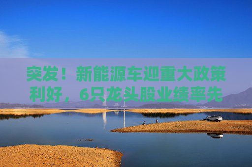 突发！新能源车迎重大政策利好，6只龙头股业绩率先反转