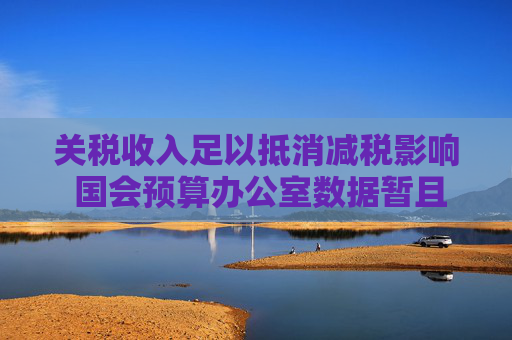 关税收入足以抵消减税影响 国会预算办公室数据暂且支持特朗普论点