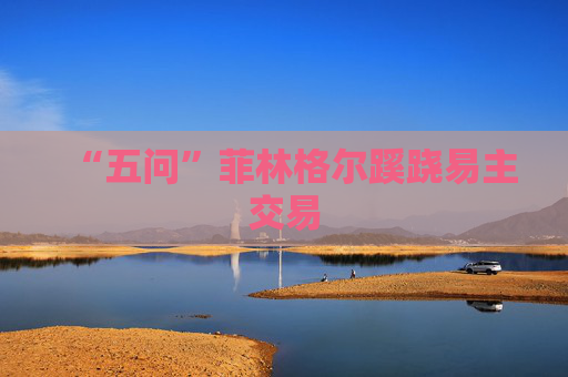 “五问”菲林格尔蹊跷易主交易