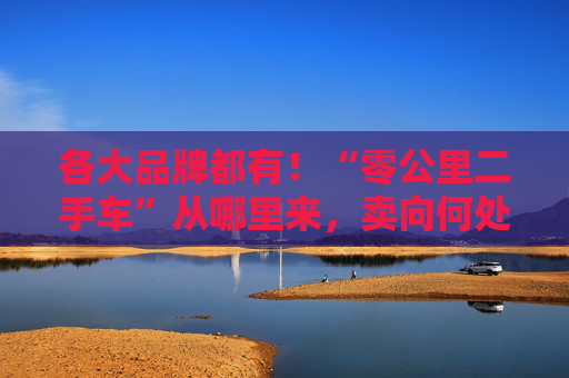 各大品牌都有！“零公里二手车”从哪里来，卖向何处，影响有多大？