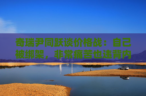 奇瑞尹同跃谈价格战：自己被绑架，非常痛苦也违背内心
