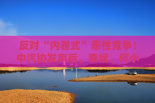 反对“内卷式”恶性竞争！中汽协发声后，李斌、何小鹏、閤先庆等车企大佬集体表态“价格战”