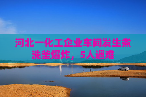 河北一化工企业车间发生煮洗釜爆炸，5人遇难