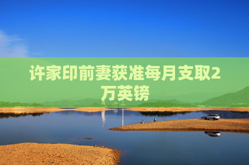 许家印前妻获准每月支取2万英镑