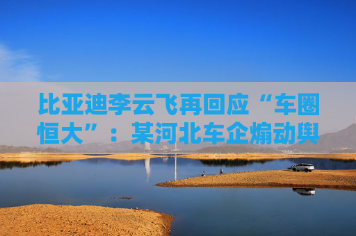 比亚迪李云飞再回应“车圈恒大”：某河北车企煽动舆论，经查没有问题
