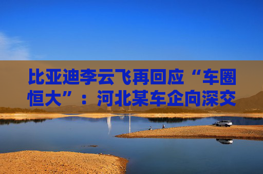 比亚迪李云飞再回应“车圈恒大”：河北某车企向深交所、港交所及监管机构恶意举报比亚迪
