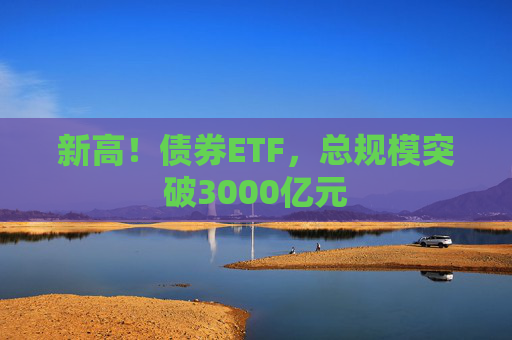 新高！债券ETF，总规模突破3000亿元