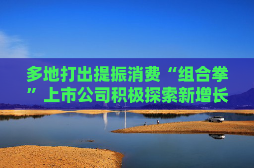 多地打出提振消费“组合拳”上市公司积极探索新增长空间