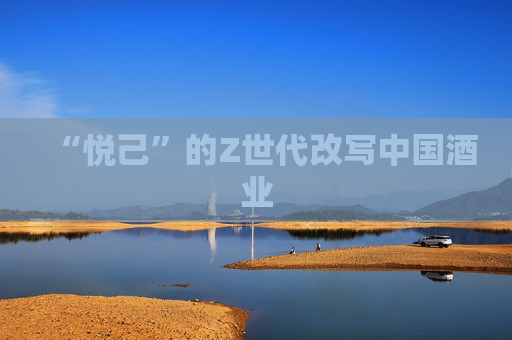 “悦己”的Z世代改写中国酒业