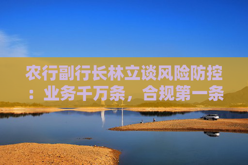 农行副行长林立谈风险防控：业务千万条，合规第一条