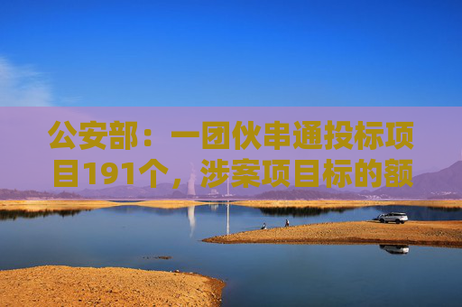 公安部：一团伙串通投标项目191个，涉案项目标的额超30亿