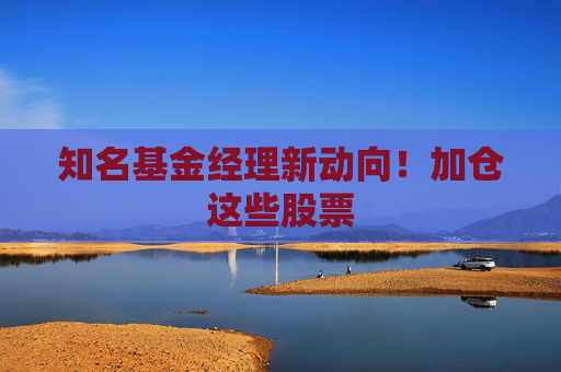 知名基金经理新动向！加仓这些股票