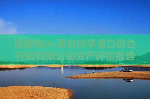 深南电A:惠东协孚港口综合开发有限公司资产评估报告