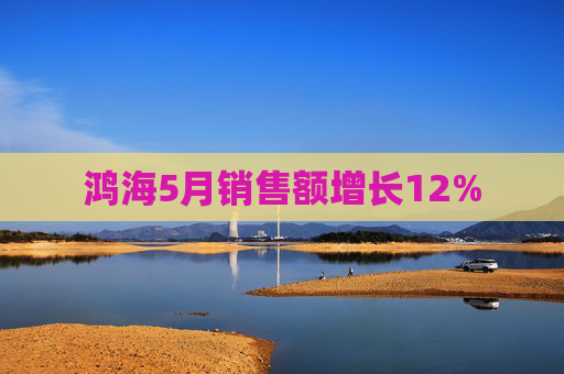 鸿海5月销售额增长12%