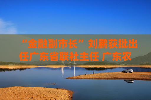 “金融副市长”刘鹏获批出任广东省联社主任 广东农信系统将组建农商联合银行