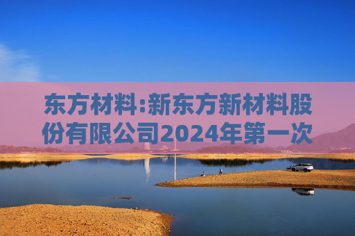 东方材料:新东方新材料股份有限公司2024年第一次临时股东大会会议资料