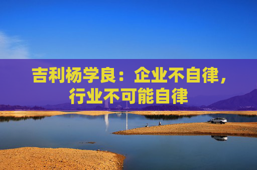 吉利杨学良：企业不自律，行业不可能自律