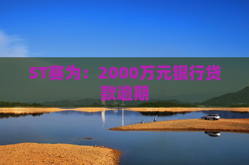 ST赛为：2000万元银行贷款逾期