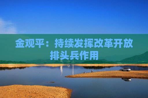 金观平：持续发挥改革开放排头兵作用