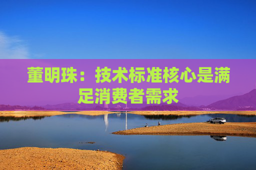 董明珠：技术标准核心是满足消费者需求