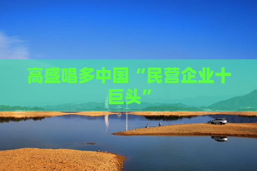 高盛唱多中国“民营企业十巨头”