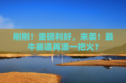 刚刚！重磅利好，来袭！最牛赛道再添一把火？