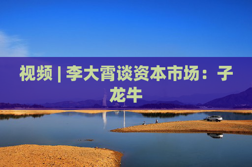 视频 | 李大霄谈资本市场：子龙牛