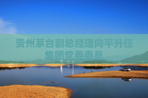 贵州茅台副总经理向平升任集团党委委员