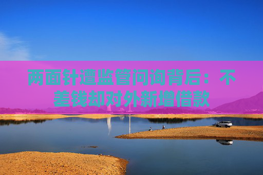两面针遭监管问询背后：不差钱却对外新增借款