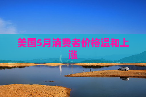 美国5月消费者价格温和上涨