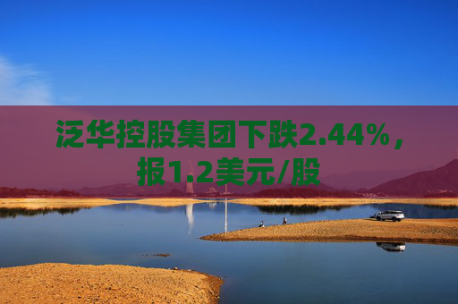 泛华控股集团下跌2.44%，报1.2美元/股