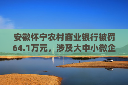 安徽怀宁农村商业银行被罚64.1万元，涉及大中小微企业贷款统计划分错误等六项违法行为
