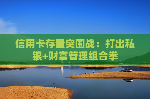 信用卡存量突围战：打出私银+财富管理组合拳