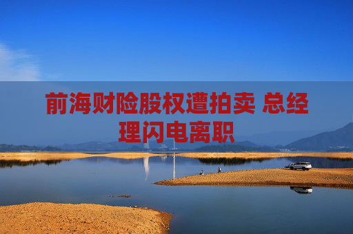 前海财险股权遭拍卖 总经理闪电离职