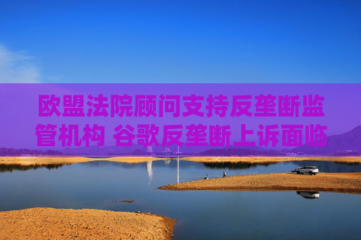 欧盟法院顾问支持反垄断监管机构 谷歌反垄断上诉面临关键失利