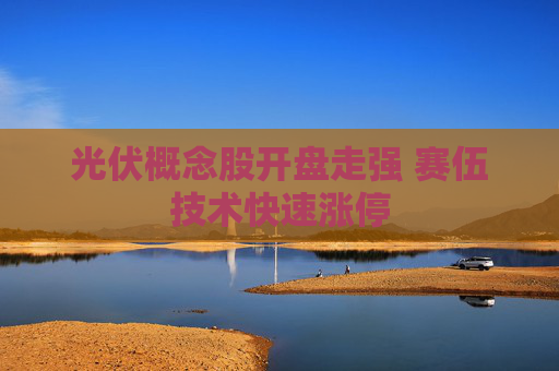 光伏概念股开盘走强 赛伍技术快速涨停