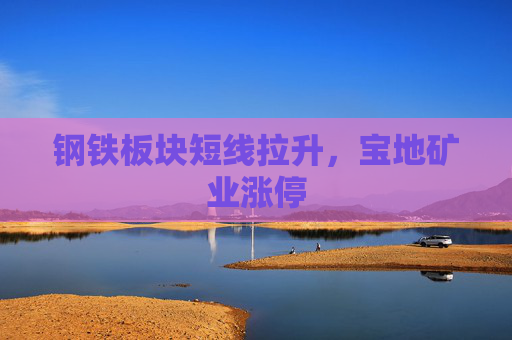 钢铁板块短线拉升，宝地矿业涨停