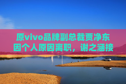 原vivo品牌副总裁贾净东因个人原因离职，谢之涵接任