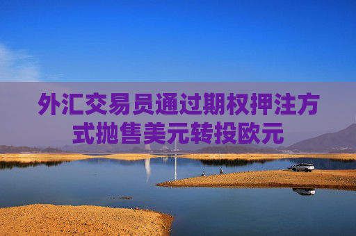 外汇交易员通过期权押注方式抛售美元转投欧元