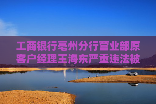 工商银行亳州分行营业部原客户经理王海东严重违法被开除公职