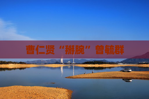 曹仁贤“掰腕”曾毓群