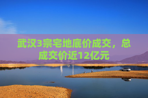 武汉3宗宅地底价成交，总成交价近12亿元